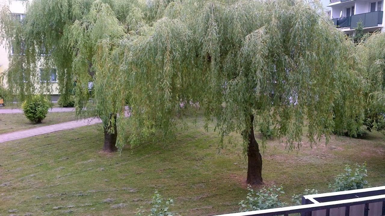 Zielona Herbowa Λούμπλιν Εξωτερικό φωτογραφία